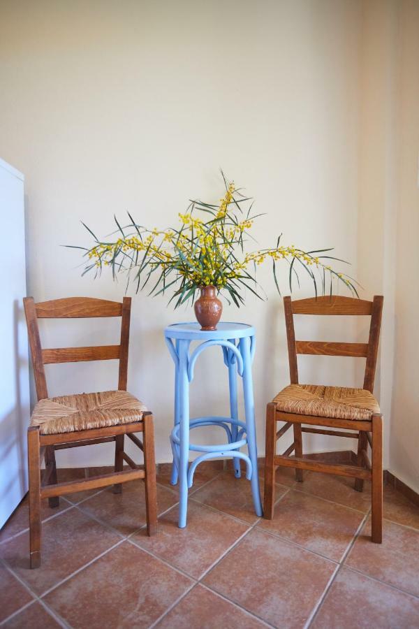 Zorbas Apartments Volissos Экстерьер фото