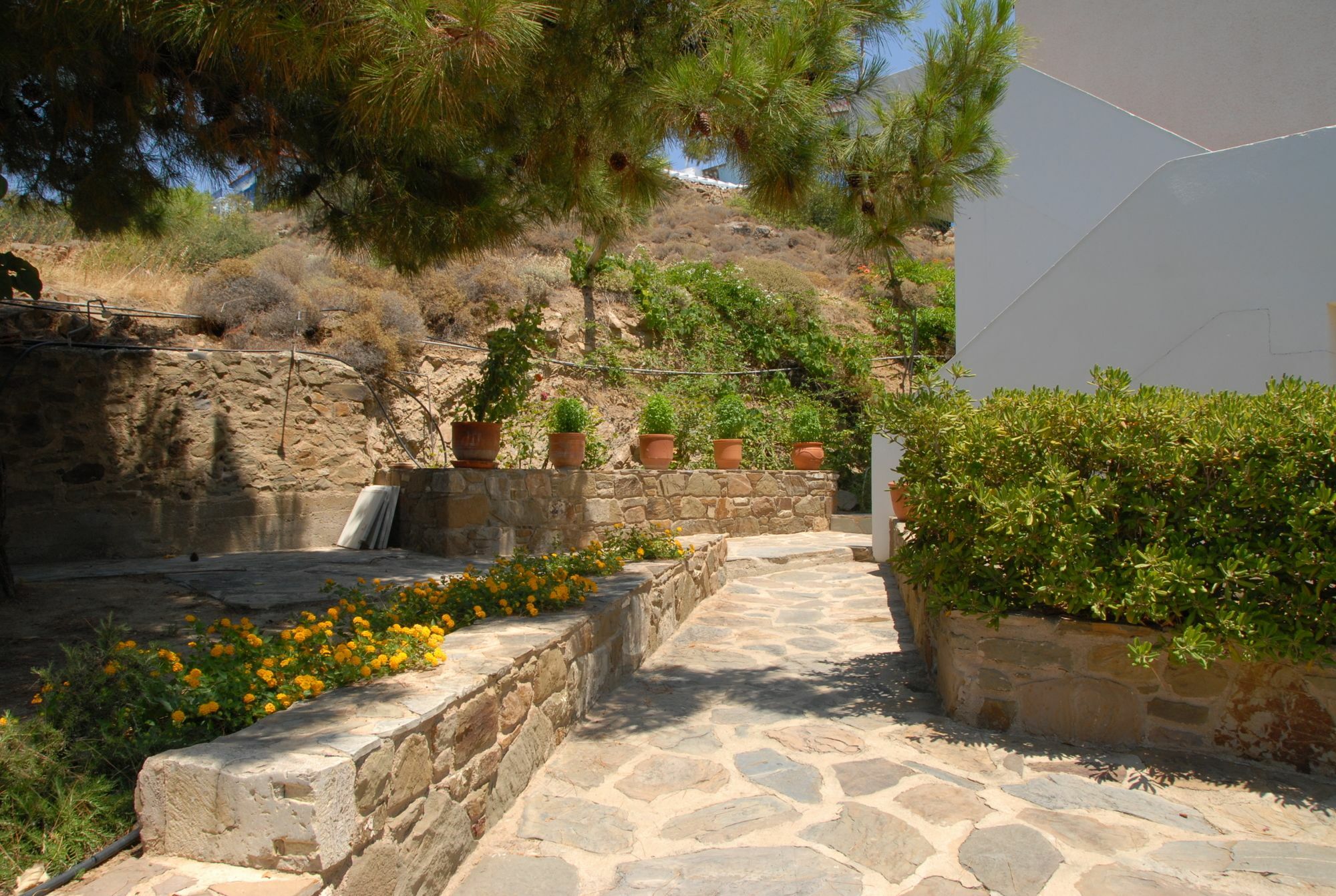 Zorbas Apartments Volissos Экстерьер фото